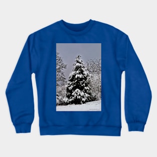 Southern Illinois Winter Scene 5_ Dec 2012 Crewneck Sweatshirt